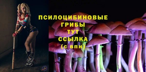 круглые Алексеевка