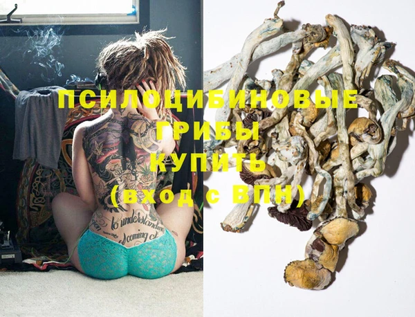 прущая мука Алзамай